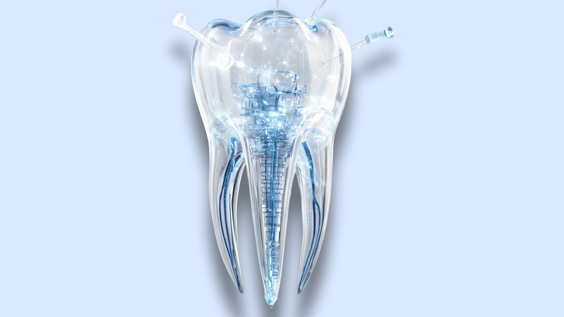 Răng 3 Chân What is a 3-Rooted Tooth