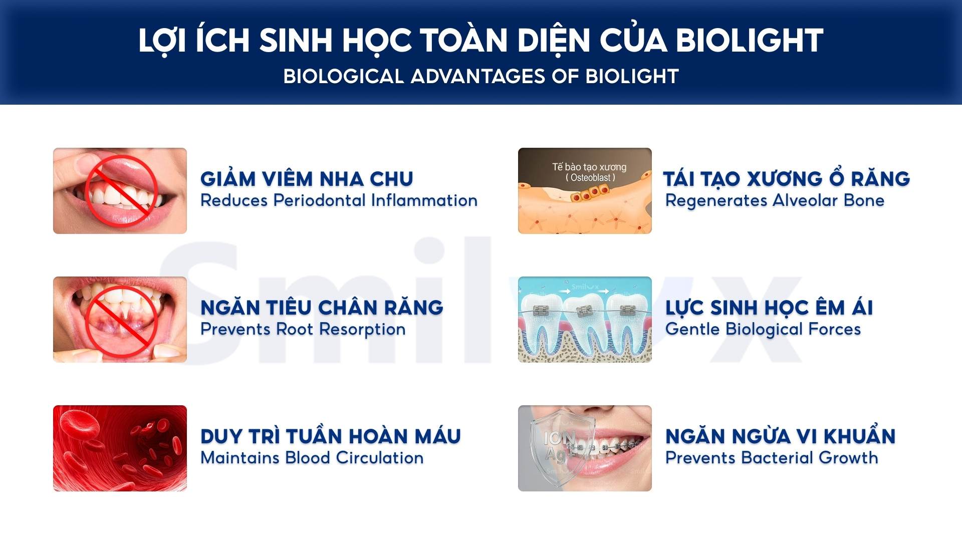 Lợi ích sinh học toàn diện của BioLight Lợi ích sinh học toàn diện của BioLight The comprehensive biological benefits of BioLight